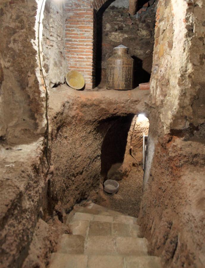 Ines Casa Rural Almodóvar del Campo エクステリア 写真